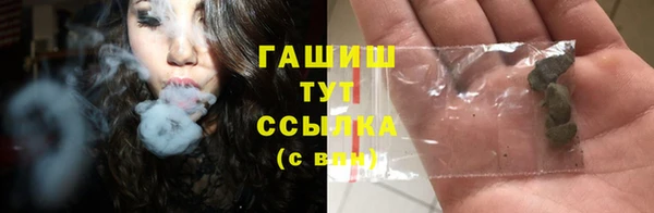 гашик Вязьма