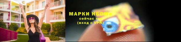 гашик Вязьма