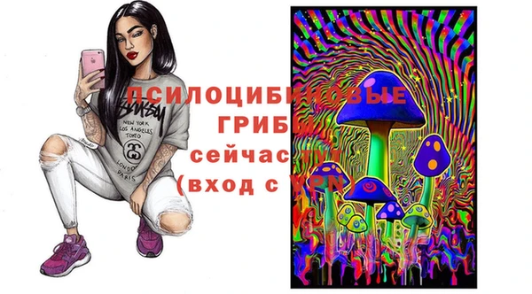 гашик Вязьма