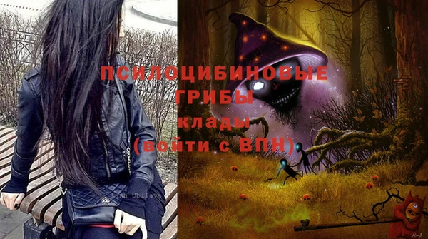 эйфоретик Вязники