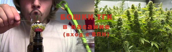 гашик Вязьма